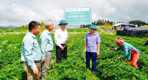 Giao lưu trực tuyến: Kiểm soát chất lượng dược liệu