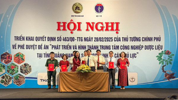 Traphaco ký kết Thỏa thuận nghiên cứu khảo sát đầu tư phát triển bền vững vùng nguyên liệu Sâm Ngọc Linh tại tỉnh Quảng Nam giai đoạn 2025-2030, tầm nhìn 2045