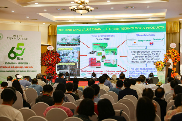 Traphaco trình bày báo cáo nghiên cứu chuỗi giá trị Đinh lăng tại Hội thảo khoa học quốc tế V.IMPACT 2026