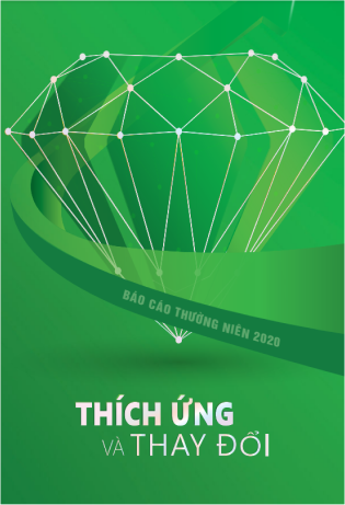 Báo cáo thường niên 2020