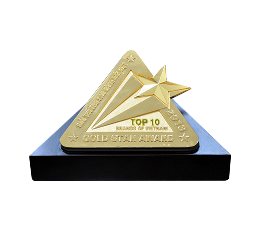 Giải thưởng Sao Vàng Đất Việt (2011,2013,2015,2018,2021)